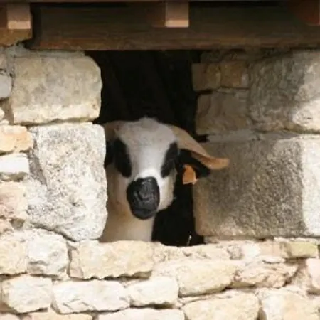 La Maison Du Marechal Dom wakacyjny