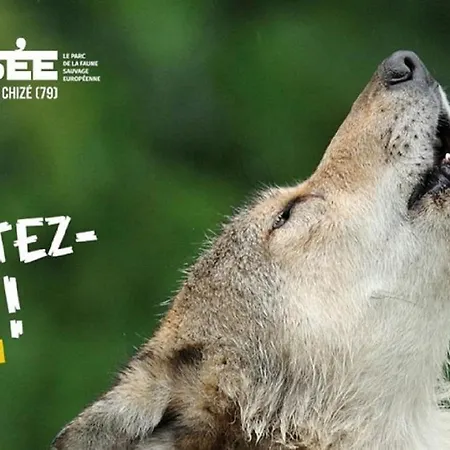 La Maison Du Marechal Dom wakacyjny Parthenay