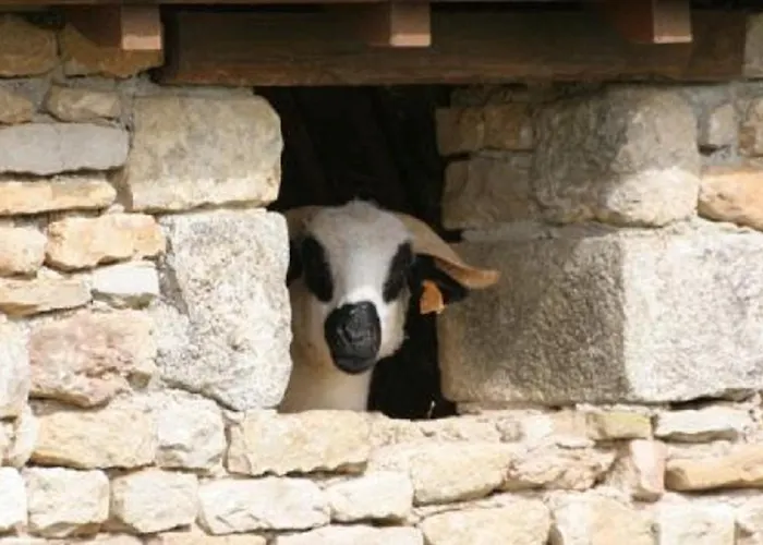 La Maison Du Maréchal Hébergement de vacances