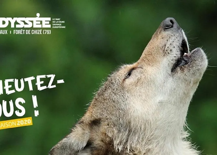 La Maison Du Maréchal Hébergement de vacances Parthenay